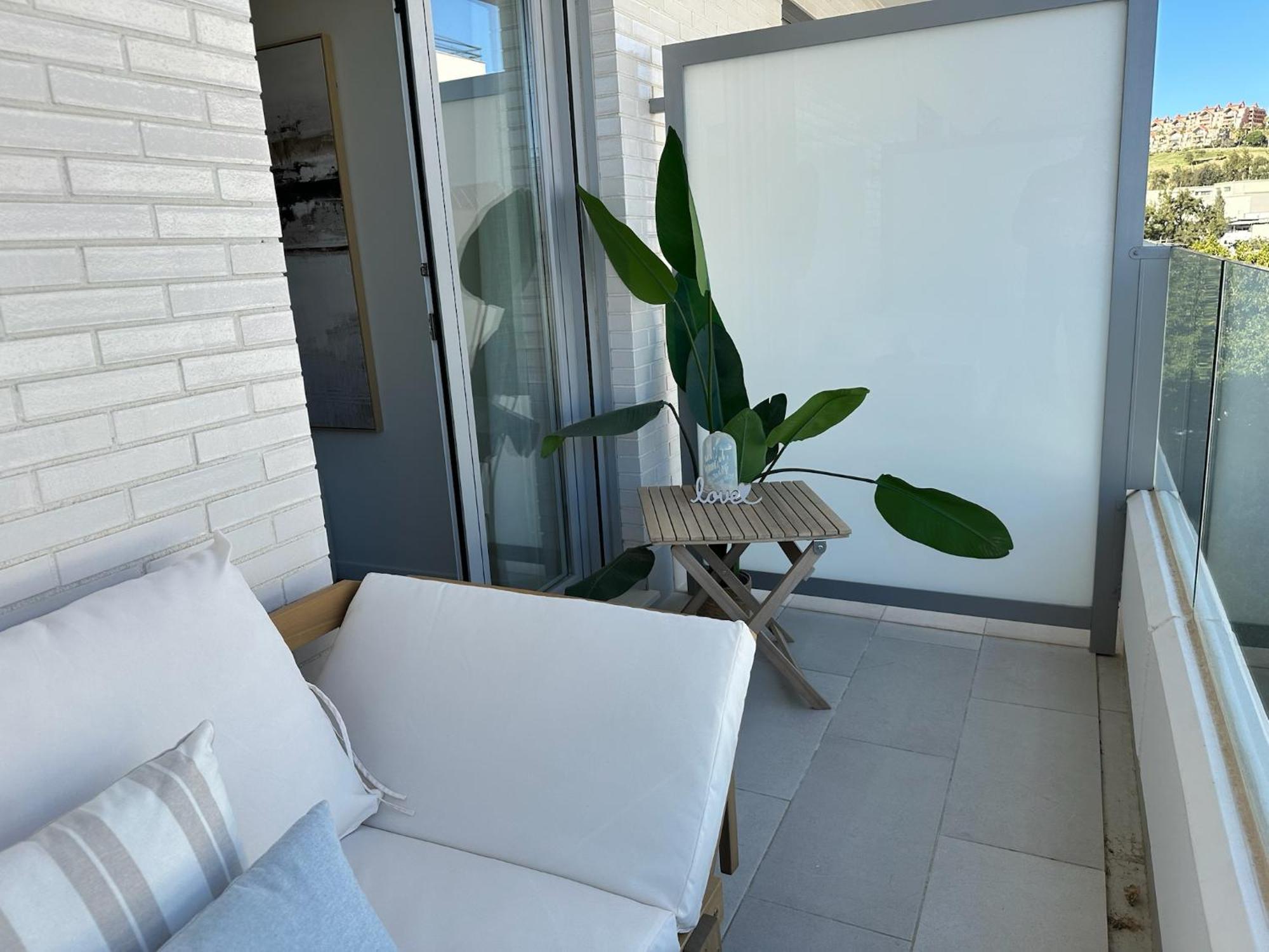 Ginkgo Marbella